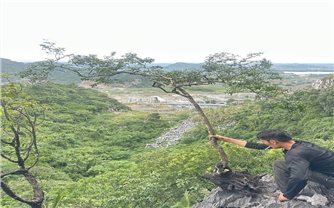 Thanh Hóa đưa 280 cây muội hồng về các vườn quốc gia, khu bảo tồn thiên nhiên