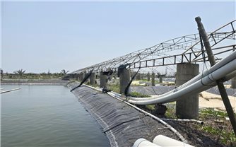 “Canh bạc” trên cát: “Giấc mơ” đổi đời hóa thành gánh nợ (Bài 2)