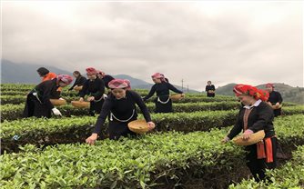 Đến cuối năm 2025, tỷ lệ hộ nghèo của tỉnh Lào Cai giảm còn 5,5%