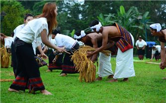 Trải nghiệm nghi thức mừng lúa mới của đồng bào Chu Ru