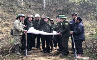 Lào Cai đang quyết liệt phòng chống cháy rừng từ sớm, từ xa