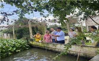 Biến phụ phẩm thành nguồn lực: Nông nghiệp tuần hoàn mở lối sinh kế mới cho nông dân