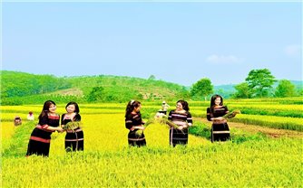 Vùng cao Quảng Ngãi sẵn sàng chào đón du khách trong kỳ nghỉ lễ 30/4 - 1/5