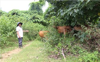 Đà Nẵng thành lập Ban Chỉ đạo các Chương trình mục tiêu quốc gia