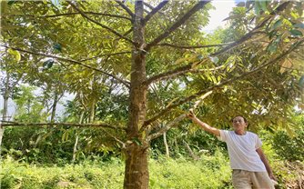 Nông dân vùng cao Đà Nẵng 