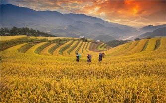 Chính sách dân tộc: Đổi mới cách tiếp cận từ hỗ trợ sang trao năng lực