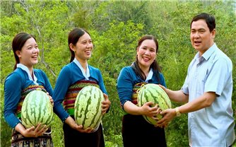 Mùa dưa hấu ngọt ở vùng biên xứ Thanh