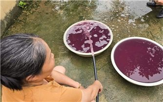 Thanh Hóa: Làm rõ vụ nước giếng khoan đổi màu tím, bốc mùi hôi thối