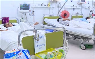 Khánh Hòa: Dịch sốt xuất huyết và tay chân miệng tăng mạnh