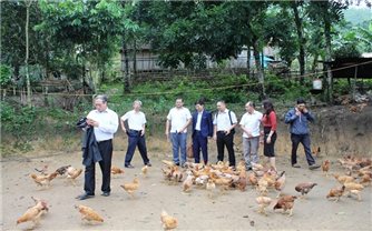 Quảng Ngãi: Triển khai mô hình nông nghiệp bảo đảm dinh dưỡng năm 2022