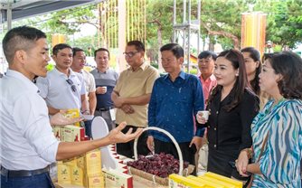 Cơ hội sản phẩm OCOP của Gia Lai vào thị trường Campuchia