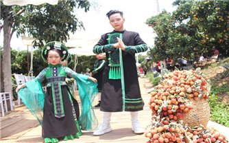 Bắc Giang: Tăng cường xúc tiến, quảng bá du lịch mùa vải thiều