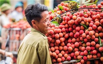 Sản phẩm OCOP thúc đẩy kinh tế Bắc Giang phát triển