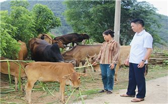 Sơn La: Phát huy vai trò Người có uy tín ở vùng cao Bắc Yên