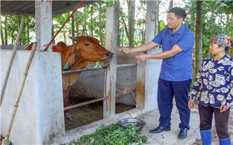 Thái Nguyên: Đẩy mạnh nhiều giải pháp hỗ trợ phát triển sản xuất trong lĩnh vực nông nghiệp