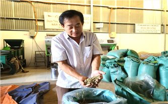 Thay đổi tư duy sản xuất nhờ “lớp học nghề” của HTX Công Bằng Ea Tu