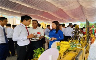 Từ “cây nhà lá vườn” trở thành đại biểu tiêu biểu Thi đua yêu nước