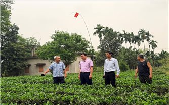 Thái Nguyên: Người có uy tín tiên phong, lan tỏa sức mạnh đồng thuận ở xóm Đạt