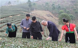 Tín dụng chính sách sát cánh cùng nông dân nghèo nơi vùng đất Thuận Châu