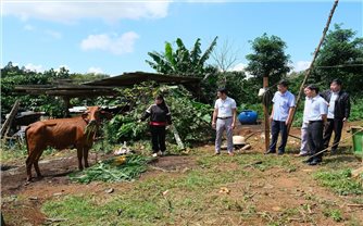 Chính sách hỗ trợ thiết thực tạo 