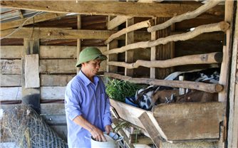 Lâm Đồng: Giảm nghèo bền vững, hướng tới phát triển toàn diện