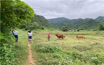 Phú Thọ: Nâng cao chất lượng các dịch vụ xã hội cơ bản hỗ trợ hộ nghèo vươn lên