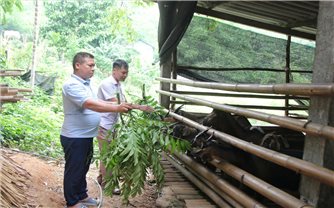 Tuyên Quang: Vượt mục tiêu giảm nghèo vùng DTTS