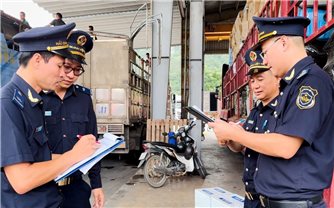 Chi cục Hải quan khu vực VI: Tạo đột phá từ tinh gọn bộ máy