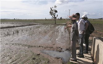 Gia Lai: Nước thải nhà máy mì gây ô nhiễm nghiêm trọng
