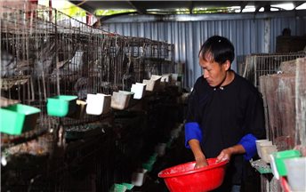 Cầu nối ý Đảng - lòng dân dưới chân Hoàng Liên