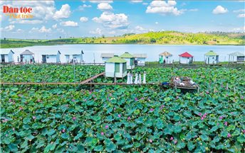 Mùa sen hồng bên miệng núi lửa Ia Băng