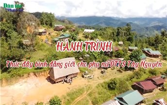 Dự án 8: Hành trình thúc đẩy bình đẳng giới cho phụ nữ DTTS Tây Nguyên