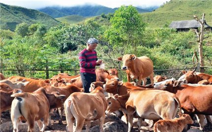 Xã Sín Thầu, huyện Mường Nhé: Nỗ lực về đích nông thôn mới