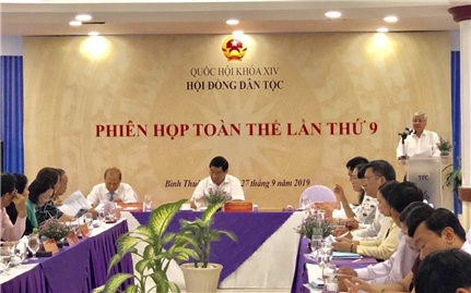 Hoàn chỉnh dự thảo Đề án tổng thể phát triển kinh tế-xã hội vùng DTTS và miền núi