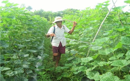 Mỹ Xuyên (Sóc Trăng): Thực hiện hiệu quả chính sách dân tộc