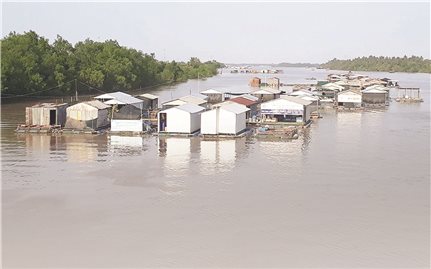 Nông nghiệp Bến Tre: Nguy cơ thiệt hại lớn vì xâm nhập mặn