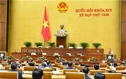 Triển khai thực hiện Nghị quyết của Quốc hội phê duyệt Đề án Tổng thể phát triển kinh tế-xã hội vùng đồng bào DTTS&MN