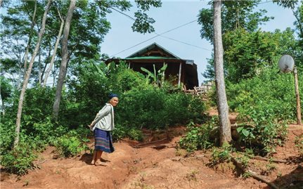 Kỳ Sơn (Nghệ An): Khổ vì dự án thủy điện “treo”