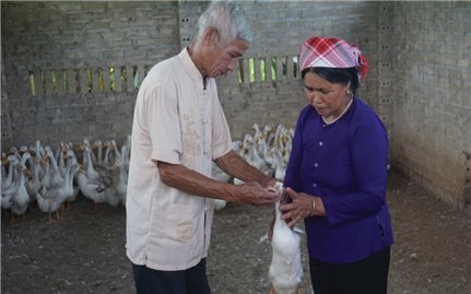 Nghị quyết 12/2018/NQ-HĐND tỉnh Lào Cai: Khó đi vào cuộc sống