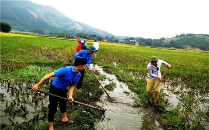 Tạo việc làm - Giải pháp hiệu quả để tập hợp thanh niên