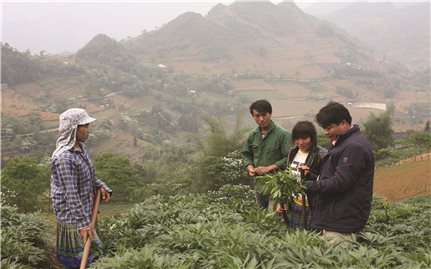 Si Ma Cai giảm nghèo bền vững