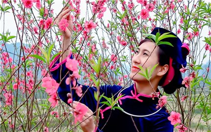 Xây dựng chất lượng sản phẩm hoa đào mang nhãn hiệu tập thể “Hoa đào Lạng Sơn”