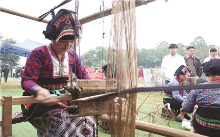 Văn hóa - Một năm nhìn lại