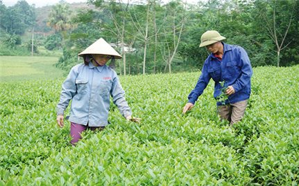 Hòa nhịp trong hành trình xây dựng nông thôn mới