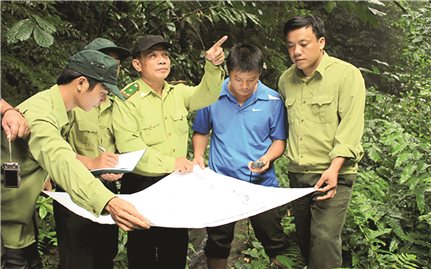 Hiệu quả giữ rừng ở Na Hang