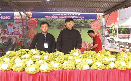 Thương hiệu cộng đồng đưa nông sản Việt vươn xa