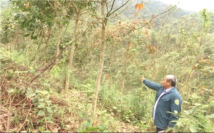 Chuyển đổi đất dự án: Cần giải quyết hài hòa lợi ích doanh nghiệp và người dân