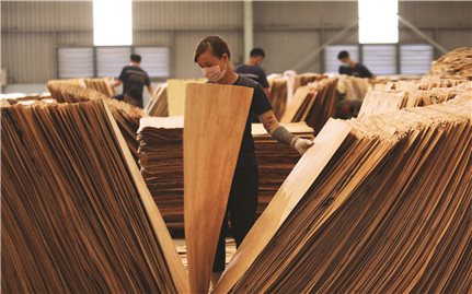 Ngành chế biến gỗ: Định hình hướng đi trong khó khăn