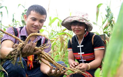 Giảm nghèo ở Tây Giang