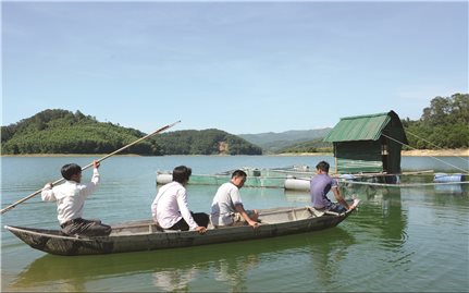 Quảng Ngãi: Hiệu quả từ những mô hình giảm nghèo